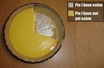 piechart.jpg